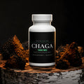 Chaga Mushroom