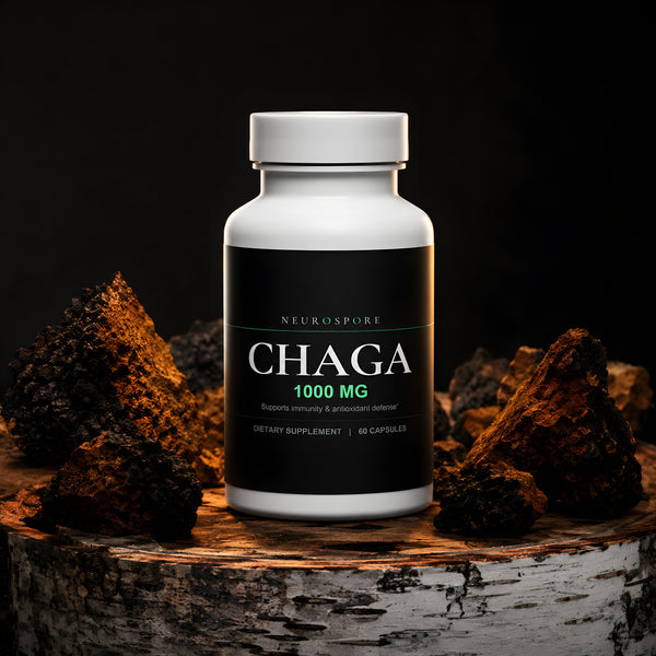 Chaga Mushroom