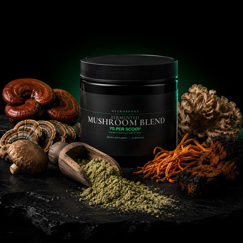 Fermented Mushroom Blend