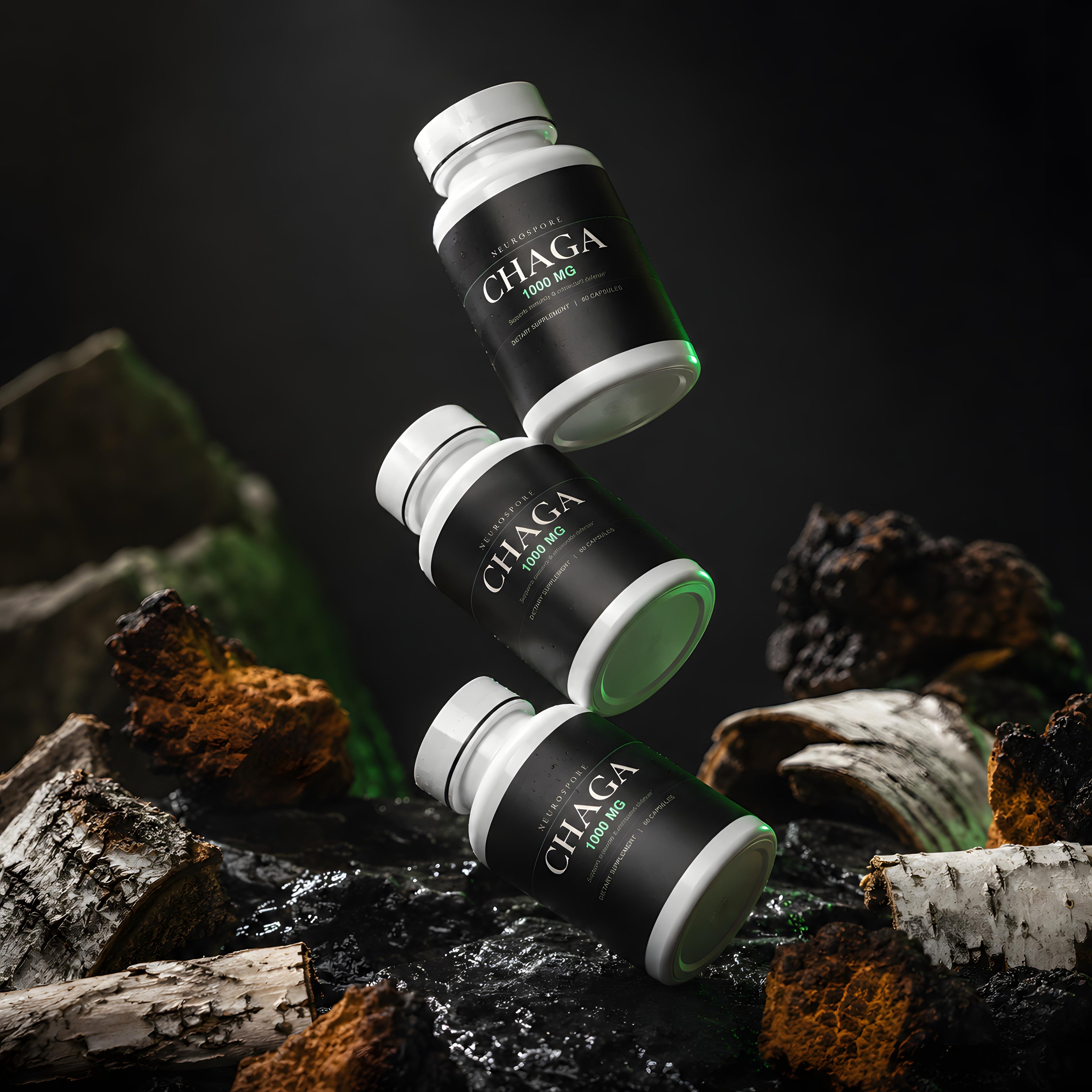 Chaga Mushroom